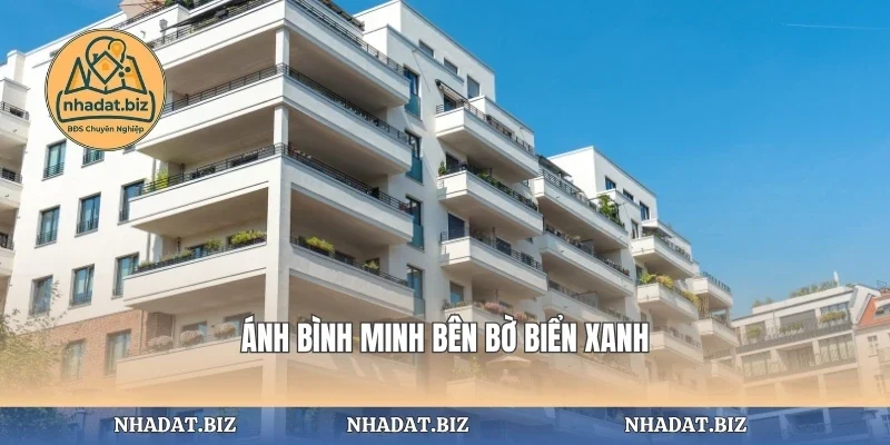 Ánh bình minh bên bờ biển xanh