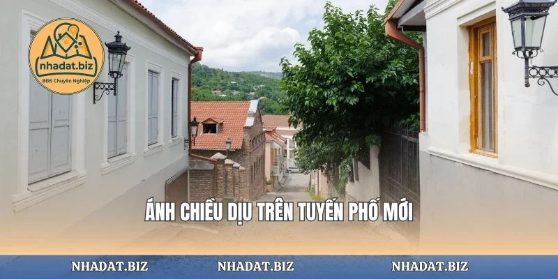 Ánh chiều dịu trên tuyến phố mới