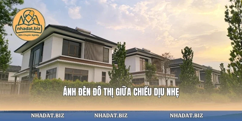 Ánh đèn đô thị giữa chiều dịu nhẹ