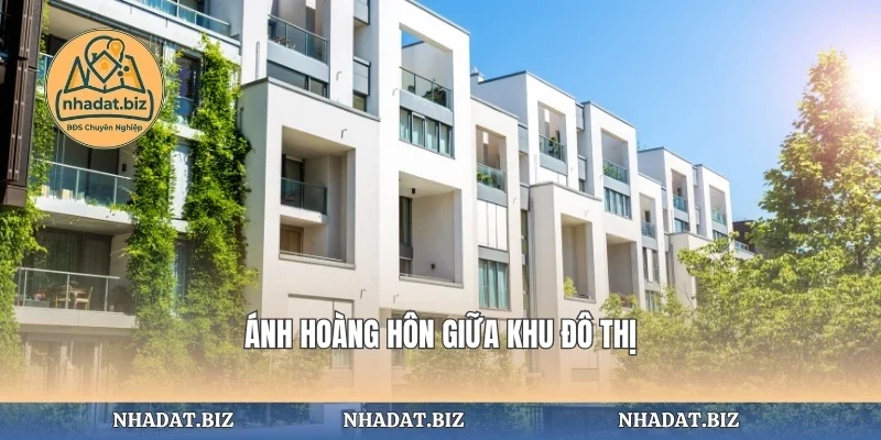 Ánh hoàng hôn giữa khu đô thị