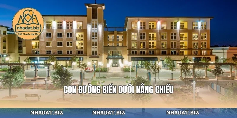 Con đường biển dưới nắng chiều