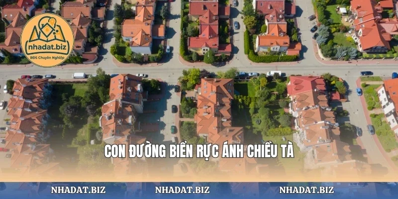 Con đường biển rực ánh chiều tà