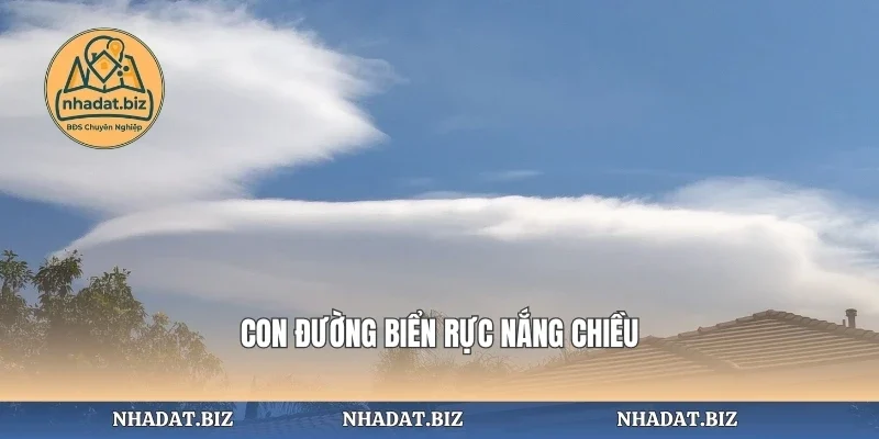 Con đường biển rực nắng chiều