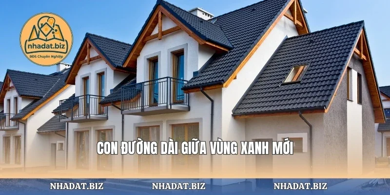 Con đường dài giữa vùng xanh mới