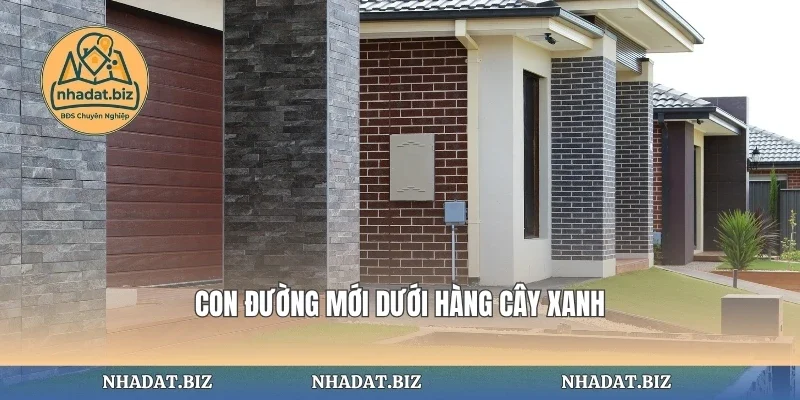 Con đường mới dưới hàng cây xanh