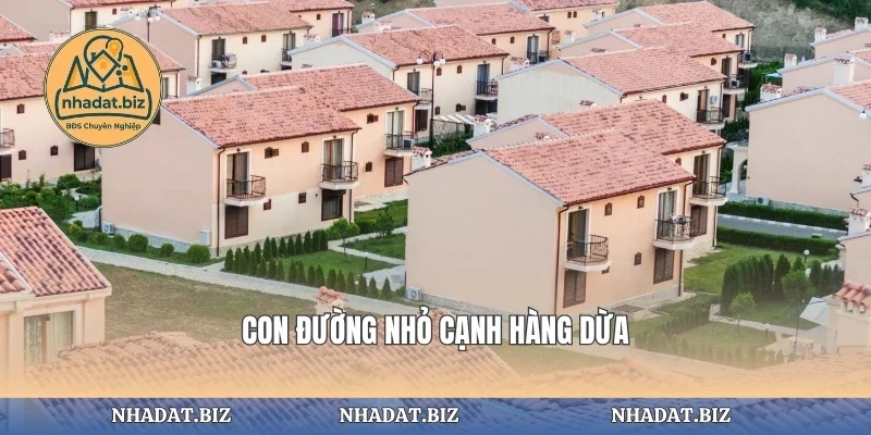 Con đường nhỏ cạnh hàng dừa