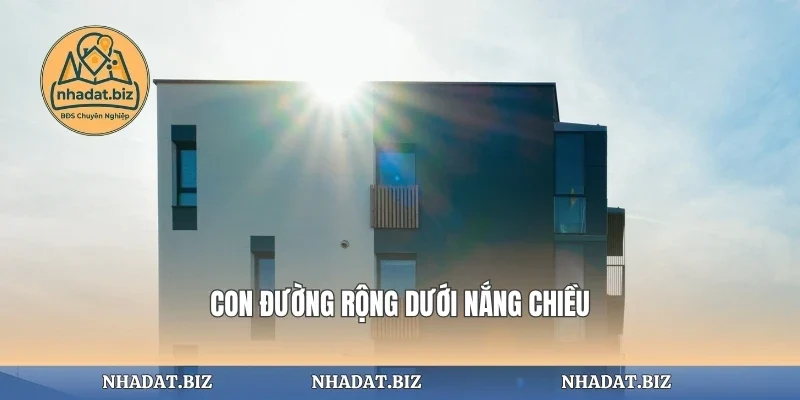 Con đường rộng dưới nắng chiều