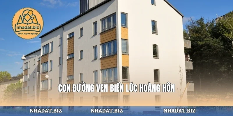 Con đường ven biển lúc hoàng hôn
