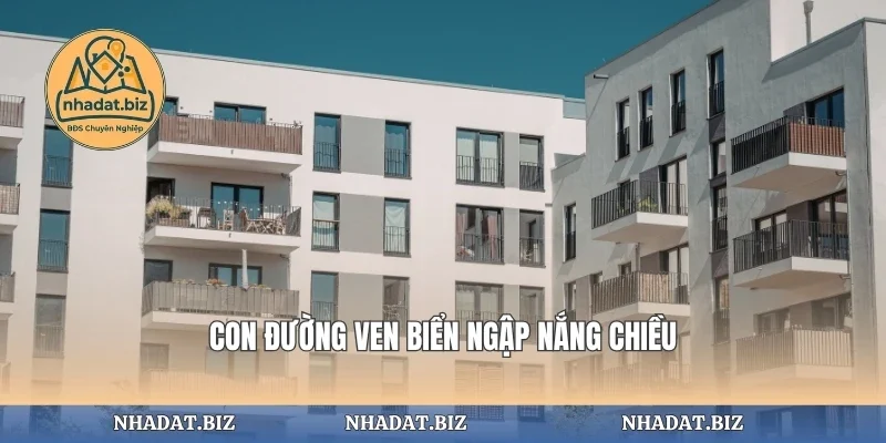 Con đường ven biển ngập nắng chiều
