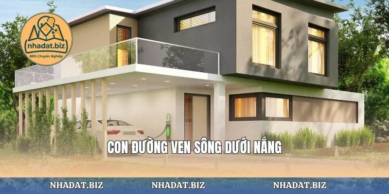Con đường ven sông dưới nắng
