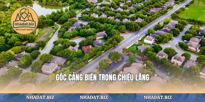 Góc cảng biển trong chiều lặng