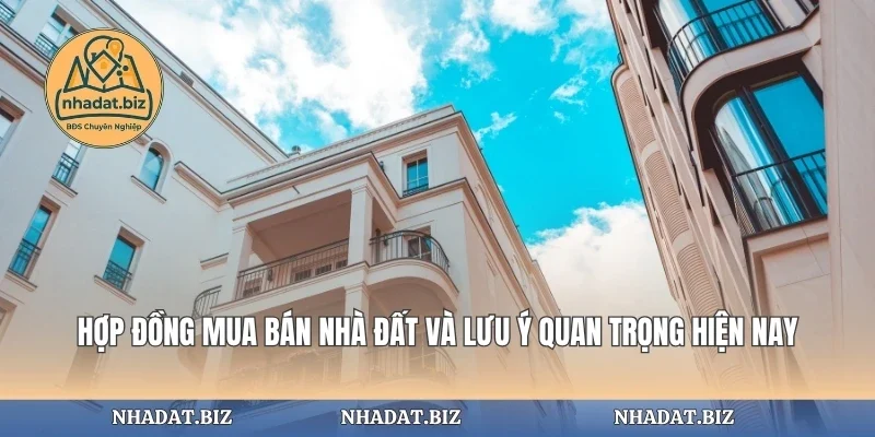 Hợp Đồng Mua Bán Nhà Đất