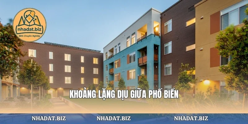 Khoảng lặng dịu giữa phố biển