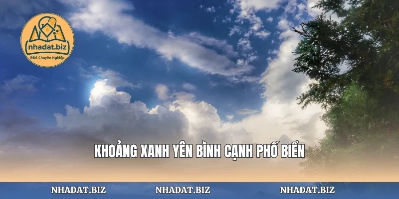 Khoảng xanh yên bình cạnh phố biển