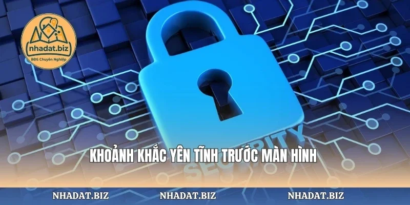 Khoảnh khắc yên tĩnh trước màn hình