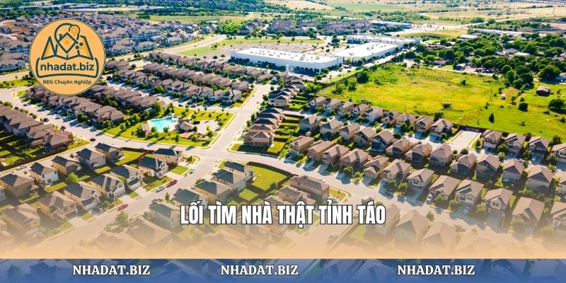Lối tìm nhà thật tỉnh táo