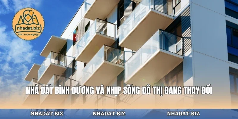 Nhà Đất Bình Dương