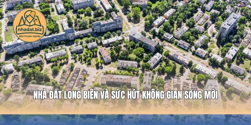 Nhà Đất Long Biên Và Sức Hút