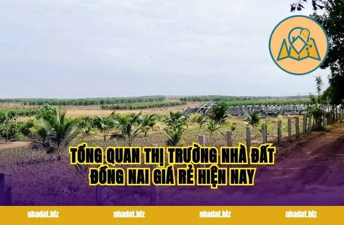 Tổng quan thị trường nhà đất Đồng Nai giá rẻ hiện nay